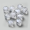 Transparent Acrylic Beads TACR-S089-22mm-01-7