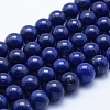 Natural Lapis Lazuli Beads Strands G-P342-01-10mm-A-1