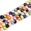 Natural Cultured Freshwater Pearl Beads Strands PEAR-N014-04J-2