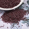 MIYUKI Delica Beads SEED-J020-DB1705-1