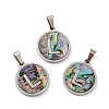 304 Stainless Steel with Paua Shell Pendants STAS-G268-02L-P-1