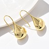 Teardrop Brass Dangle Earrings EJEW-B132-07G-1