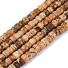 Natural Picture Jasper Beads Strands LS-G-Q606-46A-14-2