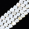 Natural Freshwater Shell Beads Strands SHEL-S278-078A-01-1