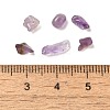 Natural Amethyst Chip Beads G-Q193-02C-3