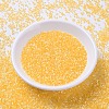MIYUKI Delica Beads SEED-MY11-DB1861-2