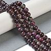 Natural Plum Blossom Tourmaline Beads Strands G-K364-B01-01-2