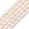 Natural Cultured Freshwater Pearl Beads Strands PEAR-I007-01D-04A-2