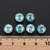 Transparent Crackle Acrylic Beads LS-MACR-S373-66-L03-5