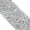 Glitter Resin Hotfix Rhinestone(Hot Melt Adhesive On The Back) OCOR-TAC0004-A-01-3