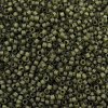 MIYUKI Delica Beads LS-X-SEED-J020-DB2404-2