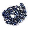Natural Lapis Lazuli Beads Strands G-G011-05B-3