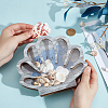 Shell Shape Wooden Jewelry Display Cases with Visible Window ODIS-SP0001-14B-3