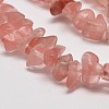 Cherry Quartz Glass Chip Beads Strands LS-G-L269-41-2