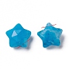 Natural Howlite Charms G-H241-04E-3