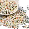 Baking Paint Glass Seed Beads SEED-F006-01A-11-1