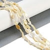 Natural Shell Pearl Beads Strands BSHE-H109-05-2