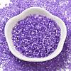 Imitation Cat Eyes Glass Seed Beads X1-SEED-H003-03F-2