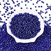Transparent Glass Seed Beads SEED-N007-33A-08-2