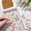 100G Glass Seed Beads SEED-SP0001-12A-01-3