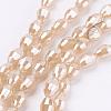 Electroplate Glass Beads Strands EGLA-J013-4X6mm-F18-1