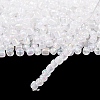 6/0 Glass Seed Beads X1-SEED-A007-4mm-161-4