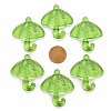 Transparent Acrylic Pendants TACR-T024-01B-925-3