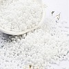 Baking Paint Glass Seed Beads X-SEED-A033-04M-1