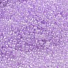 Ceylon Glass Seed Beads SEED-K009-02B-30-3