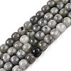 Natural Labradorite Beads Strands G-T138-143-4