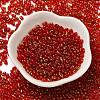 Spray Painted Glass Seed Beads SEED-F005-06A-02-2