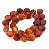 Natural Red Agate Beads Strands G-S359-348-2