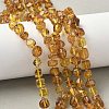 Natural Amber Beads Strands G-L095-E01-07-1