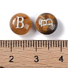 Natural Tiger Eye Beads G-L524-20B-02-3