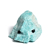 Natural Amazonite Cute Display Decoration PW-WG55978-05-1