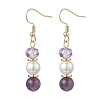 Round Natural Amethyst Dangle Earrings EJEW-JE06778-03-2