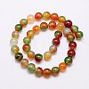 Natural Peacock Agate Beads Strands G-G444-10mm-02-2