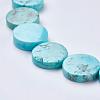 Natural Magnesite Beads Strands TURQ-K003-16-3