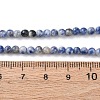 Natural Blue Spot Jasper Beads Strands G-Z116-A02-3mm-5