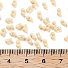 Baking Paint Glass Seed Beads X1-SEED-A033-05G-3