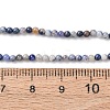 Natural Blue Spot Jasper Beads Strands G-Z116-A02-2mm-5