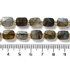 Natural Labradorite Beads Strands G-H061-A01-01-5