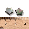 Natural Black Lip Shell Beads SHEL-M019-05-3