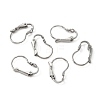 316 Surgical Stainless Steel Leverback Earring Findings STAS-WH0022-73A-1