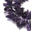 Natural Amethyst Beads Strands G-B169-A01-3