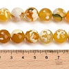 Natural Fire Crackle Agate(Dyed & Heated) Beads Strands G-K425-A07-12mm-4