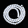 Natural Freshwater Shell Beads Strands X-SHEL-N003-24-A01-2