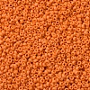 MIYUKI Round Rocailles Beads SEED-G007-RR2313-3