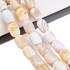 Natural Agate Beads Strands G-Q606-97B-03-1