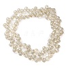 Electroplate Glass Beads Strands EGLA-D030-17O-2